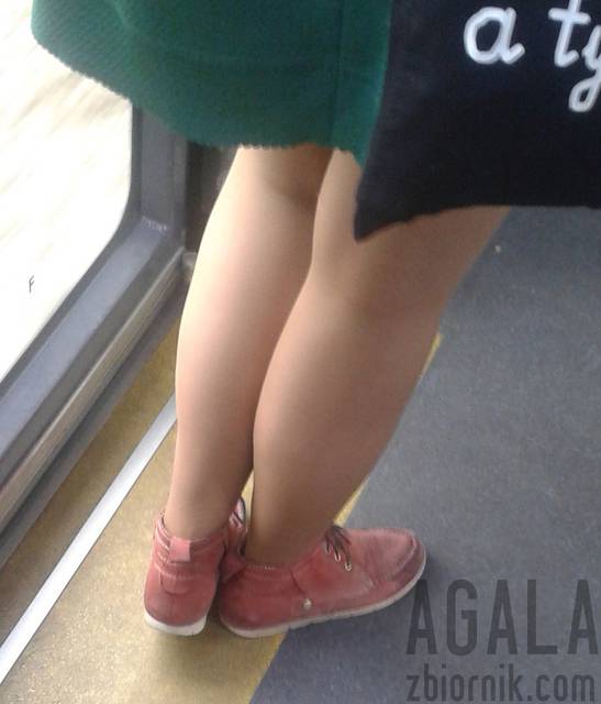 20150902_1kl.jpg - AGALA