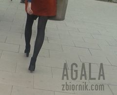 20150903_3cz.jpg