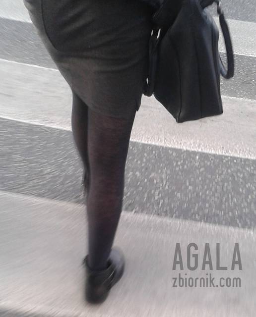 20150909_1v.jpg - AGALA
