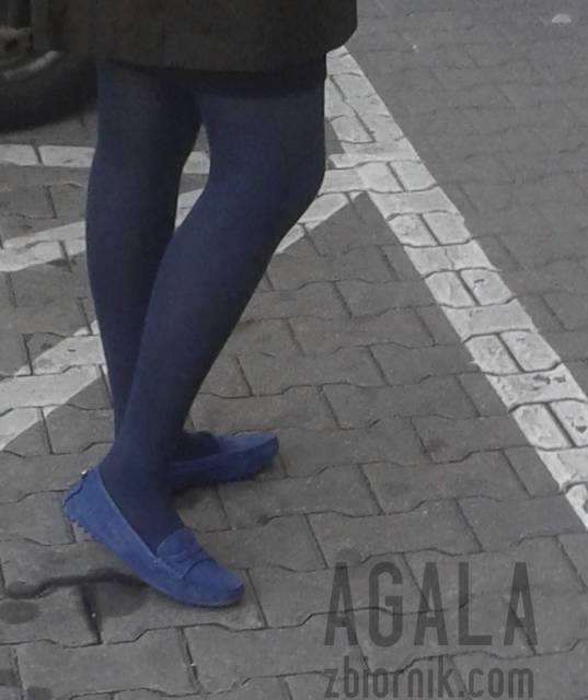 20150910_5kol.jpg - AGALA