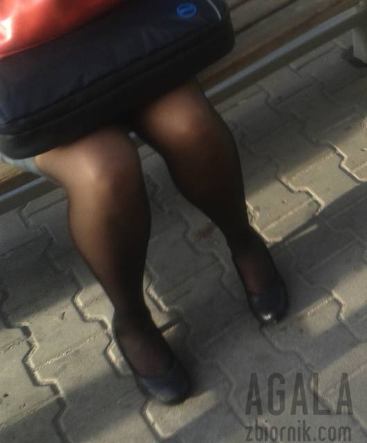 20150917_17cz.jpg - AGALA