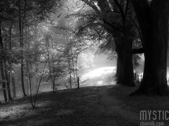 Na progu jesieni - mystic