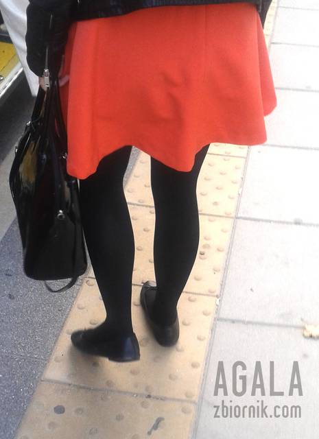 20150922_20cz.jpg - AGALA