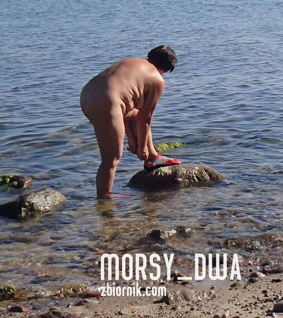 Przed wyjściem w morze - Morsy_dwa