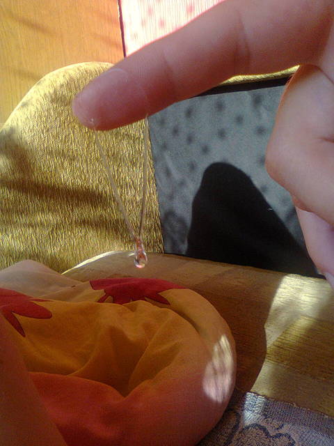 Precum z bliska - Luzak_krak