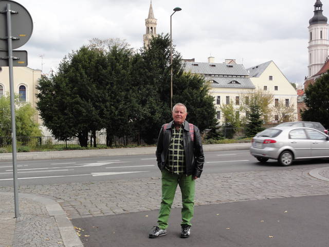 DSC00991.JPG - wlodek560