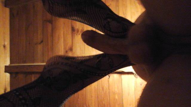 20150919_225141.jpg - ZajaraniSoba