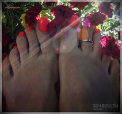 flowers #02