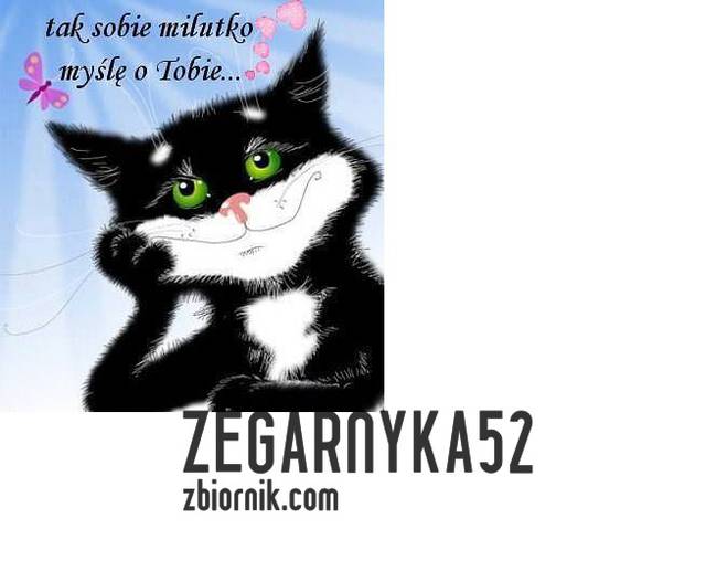 a8400efbdd.jpgkotek.jpg - zegarnyka52