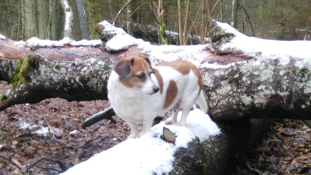 IMG_20150307_094714.jpg - m69m