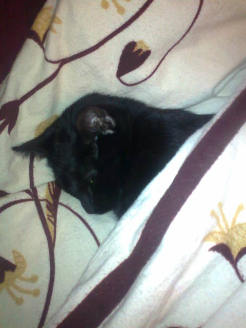 zdjęcia 1391.jpg - mraumarau7576