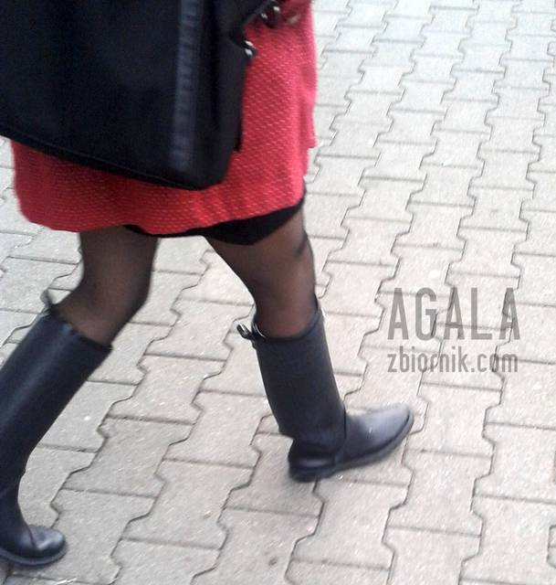 20151014_6cz.jpg - AGALA