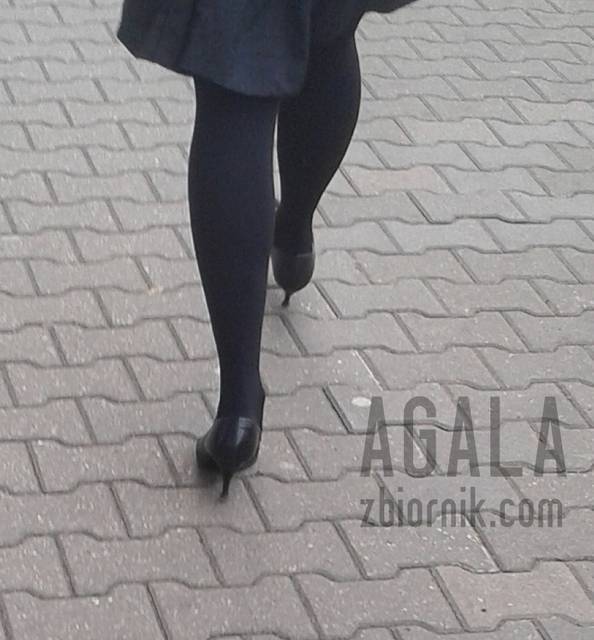 20151015_7cz.jpg - AGALA