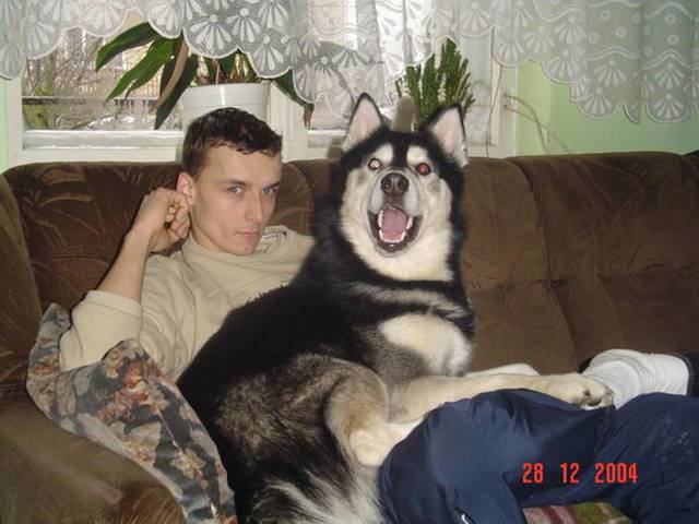 2175a2cd77.jpeg - Krisu79