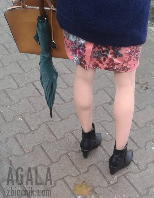 20151016_4kl.jpg - AGALA