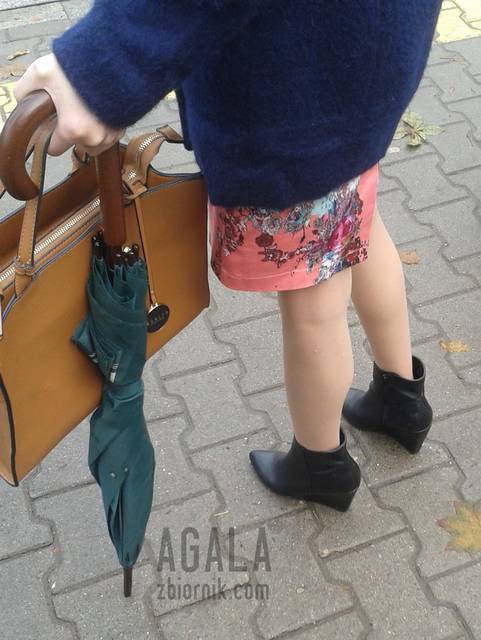 20151016_2kl.jpg - AGALA
