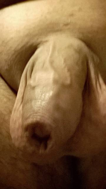 WP_20151019_19_54_45_Selfie.jpg - parkan