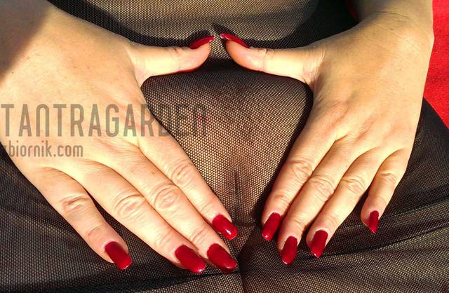 muszelka2.jpg - tantragarden