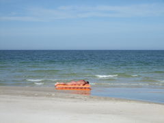 DSCF7440.JPG