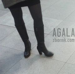 20151025_1v.jpg
