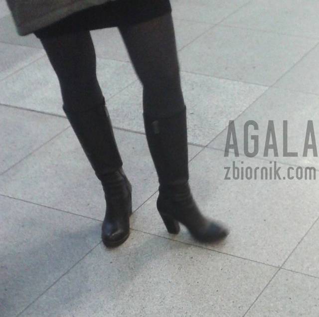 20151025_1v.jpg - AGALA
