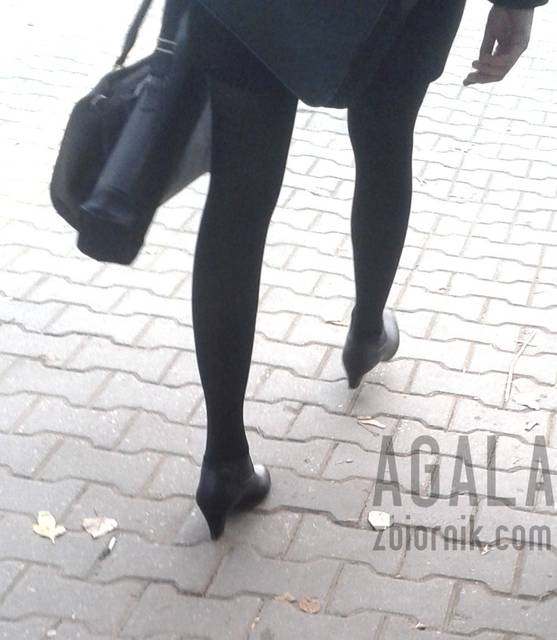 20151027_5cz.jpg - AGALA