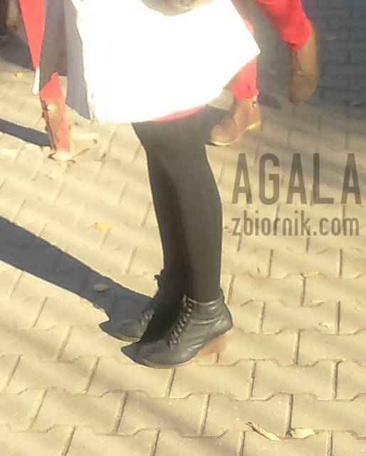 DSC2772cz.jpg - AGALA