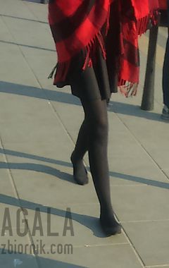 DSC_2886cz.jpg