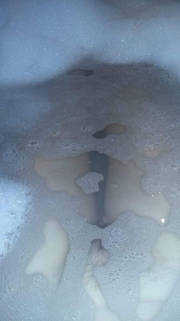 received_990430874331606.jpeg - MISIEK198200