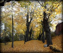 Spacerkiem przez jesienny park :)