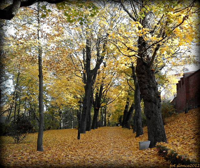 Spacerkiem przez jesienny park :) - slonce2012