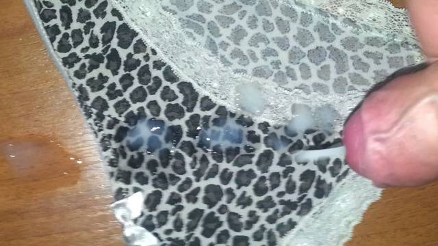 20151102_065235_21730.jpg - fajkowi