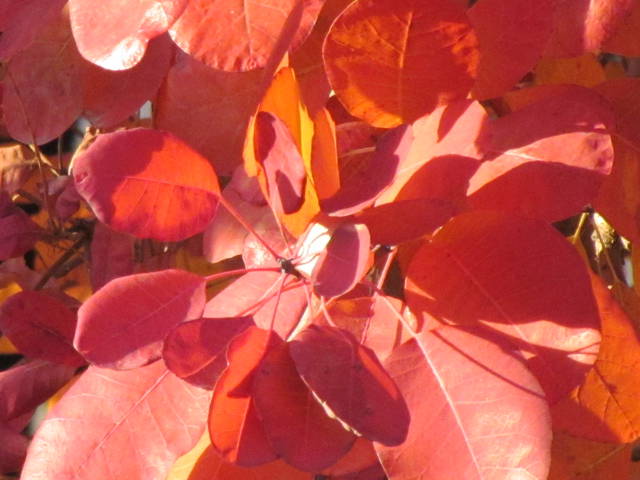 czerwień.... - wodnik50