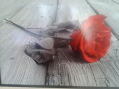 2015-10-24 16.22.56.jpg