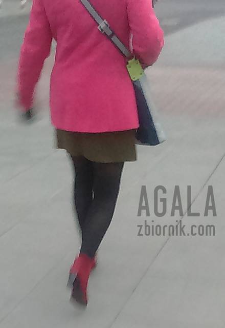 DSC_2979cz.jpg - AGALA