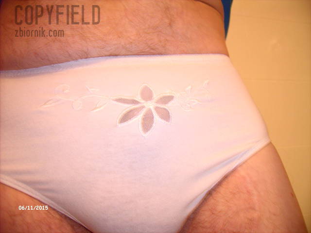 LPIC0003.JPG - copyfield