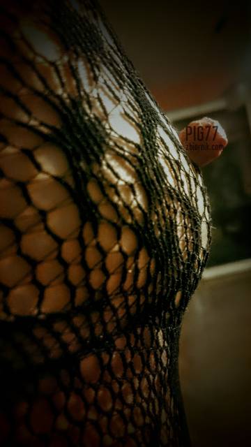 Suteczek :-) - pig77