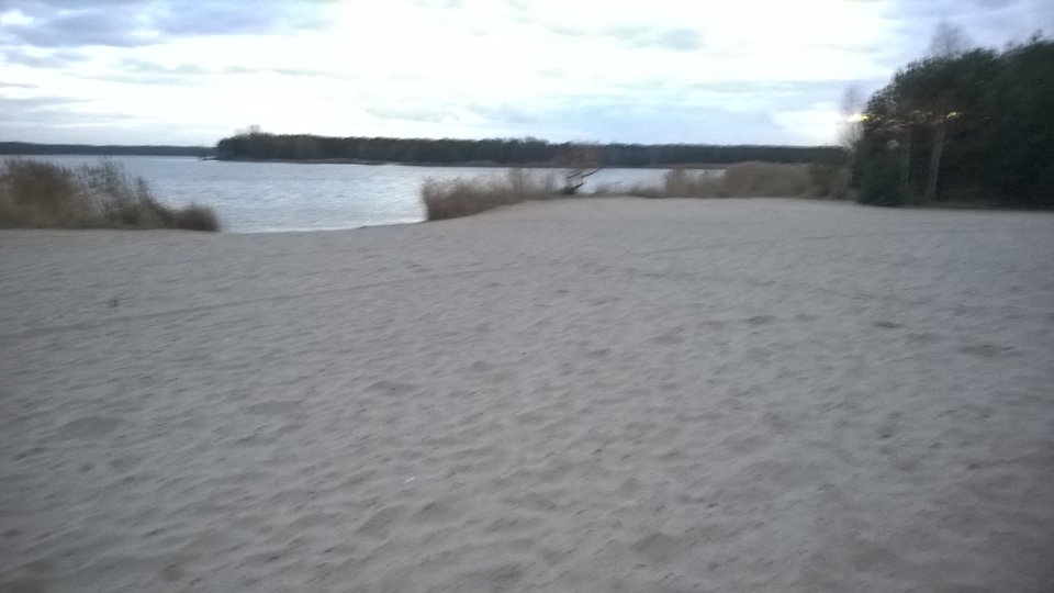 WP_20151114_055.jpg - slonik84