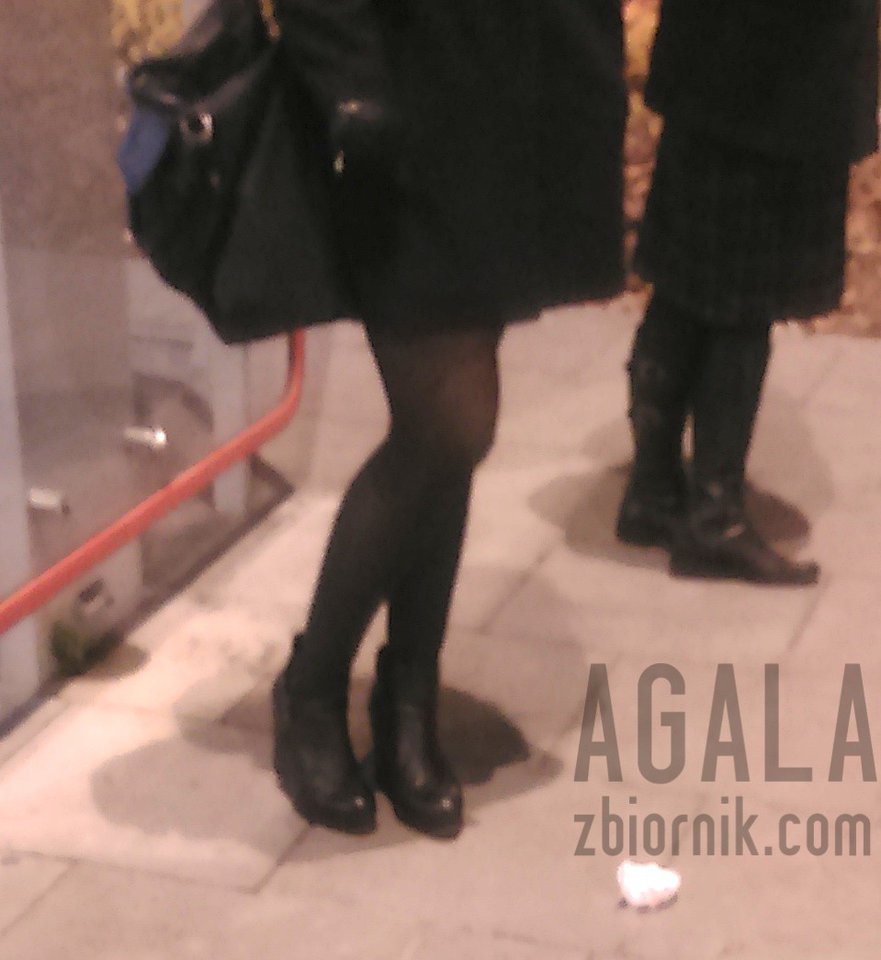 DSC_3195cz.jpg - AGALA