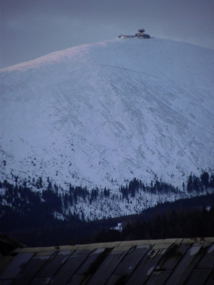 DSCF0196.JPG - k4mis