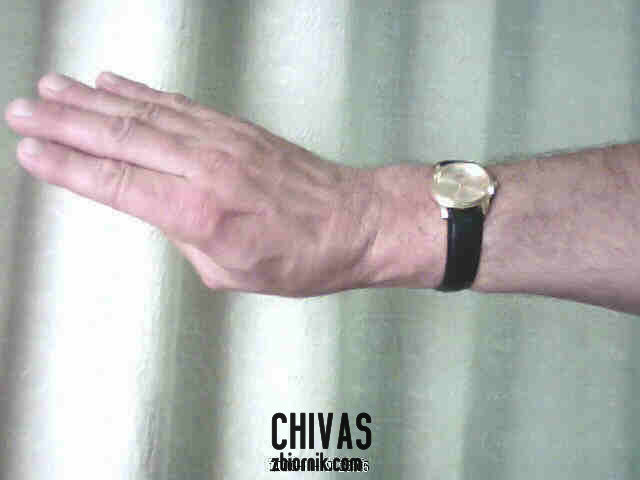 ręka4.jpg - chivas