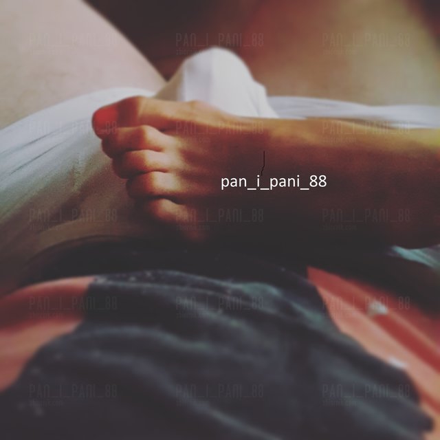 pan_i_pani_88