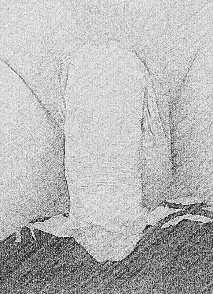 2015-11-29 22.10.01.jpg - PAWEL4442