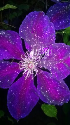 macro jest piękne ;)