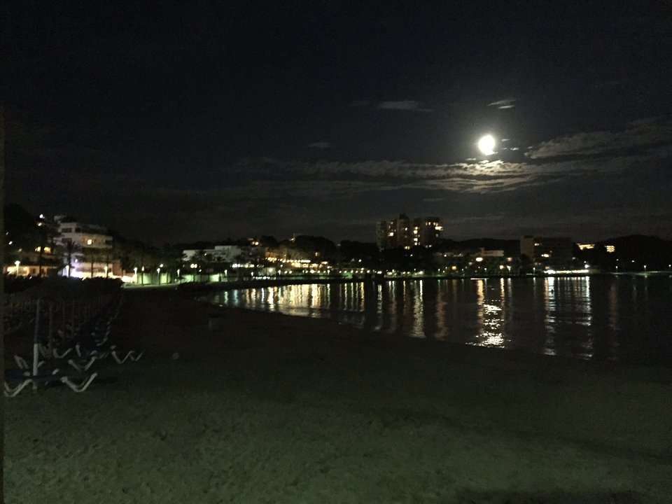 DAA00656-73B6-4C9E-A2D3-7821BFA1A03B.JPG - nemo28