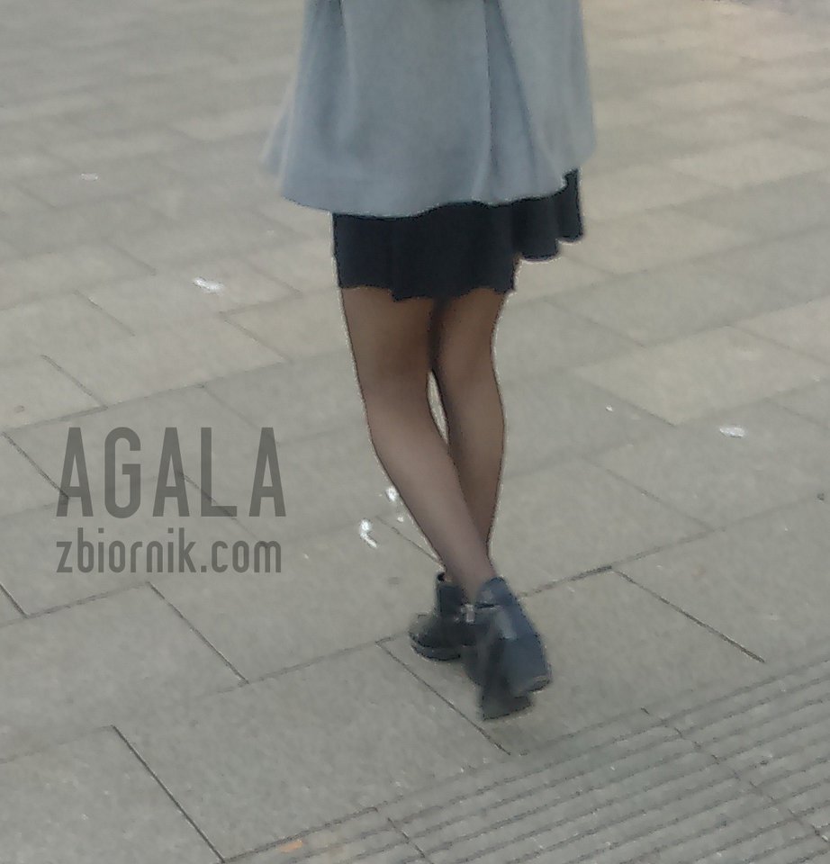 DSC_3459cz.jpg - AGALA
