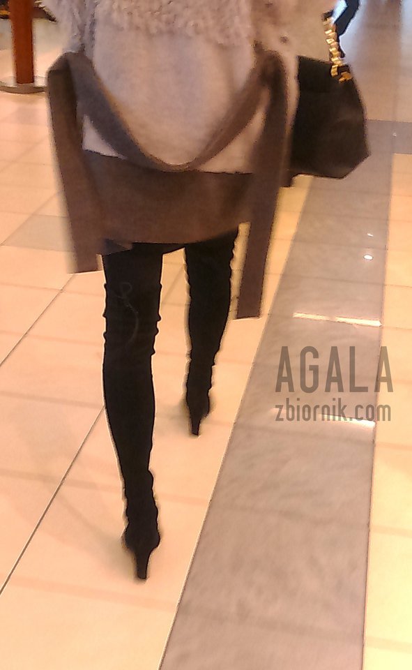 DSC_3502v.jpg - AGALA