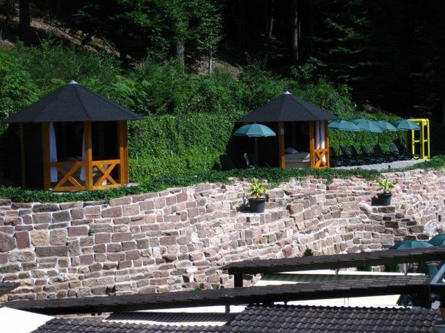 Garten 1.jpg - Auhof_Paar