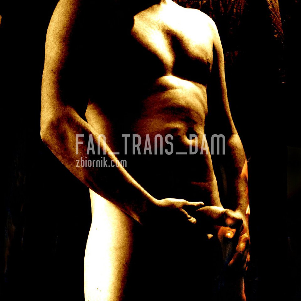 1449662398251.jpg - Fan_Trans_Dam