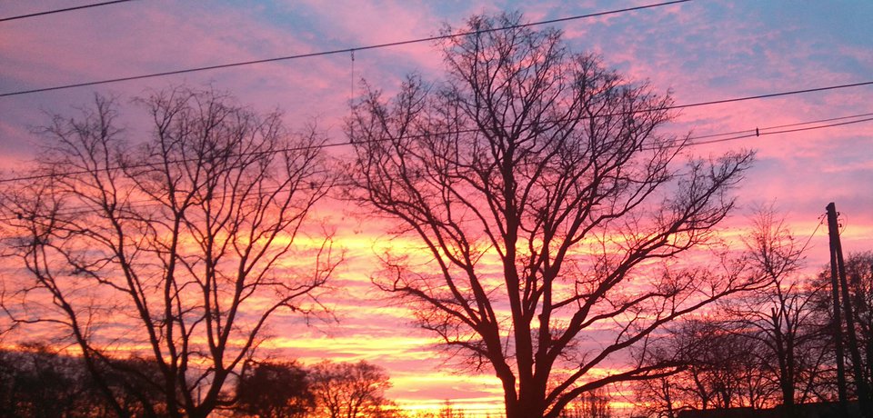 IMG_20151211_074414.JPG - malaala1985